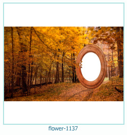 flower Photo frame 1137