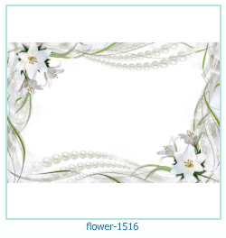 flower Photo frame 1516