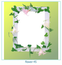 flower Photo frame 45