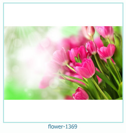 flower Photo frame 1369