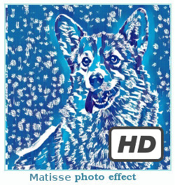 Prisma photo effect Matisse